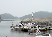 Фестиваль морепродуктов порта Тэан-Мохан