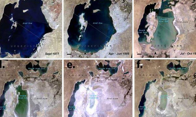 Лесная служба способствует восстановлению Аральского моря