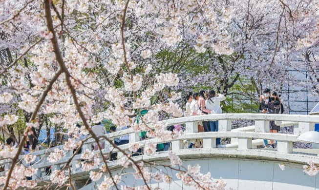 6 лучших мест для любования весенним цветением в Корее