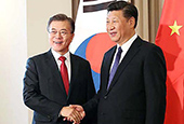 Встреча с председателем КНР Си Цзиньпином (июль 2017)