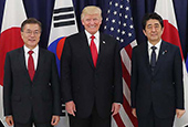Встреча с Президентом США Дональдом Трампом и премьер-министром Японии Синдзо Абэ (июль 2017)