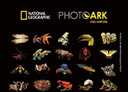 Фото Арк National Geographic