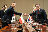 Корейско-польский саммит (февраль 2018)