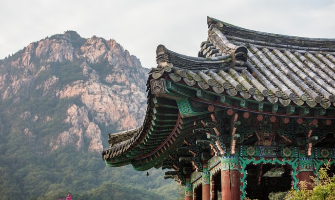 Программа проживания в буддийском храме в Южной Корее