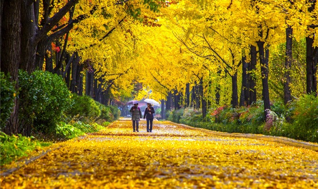Лучшее время для любования осенью в Южной Корее?