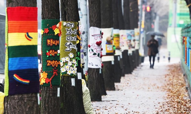 Деревья в Корее готовы к встрече зимы