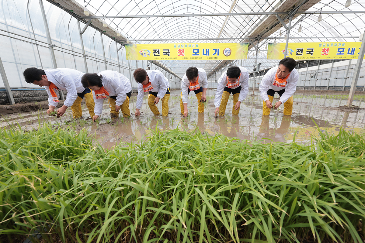 Участники акции 16 февраля сажают рассаду риса на «Первом мероприятии по посадке риса в Ичхоне», которое проводится в теплице, расположенной в Хобоп-мёне, город Ичхон, провинция Кёнгидо.
