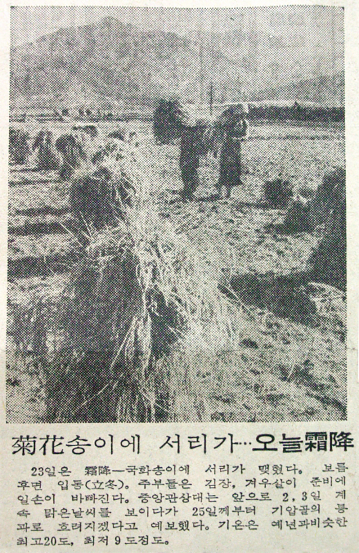 161020_sanggang2_in.jpg