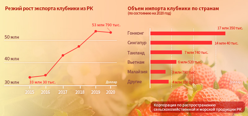 Экспорт клубники из РК.