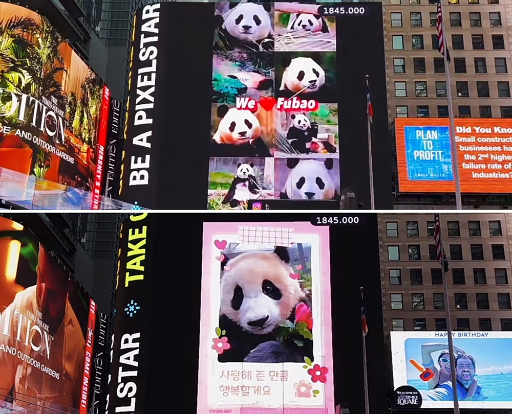 Видео с Фу Бао, появившееся 9 апреля (по местному времени) на большом электронном табло на Таймс-сквер в Нью-Йорке, США. Известно, что рекламу на свои деньги разместил китайский поклонник панды, а фото и видео созданы при помощи поклонника из Японии. / Фото: Прямая трансляция TSX