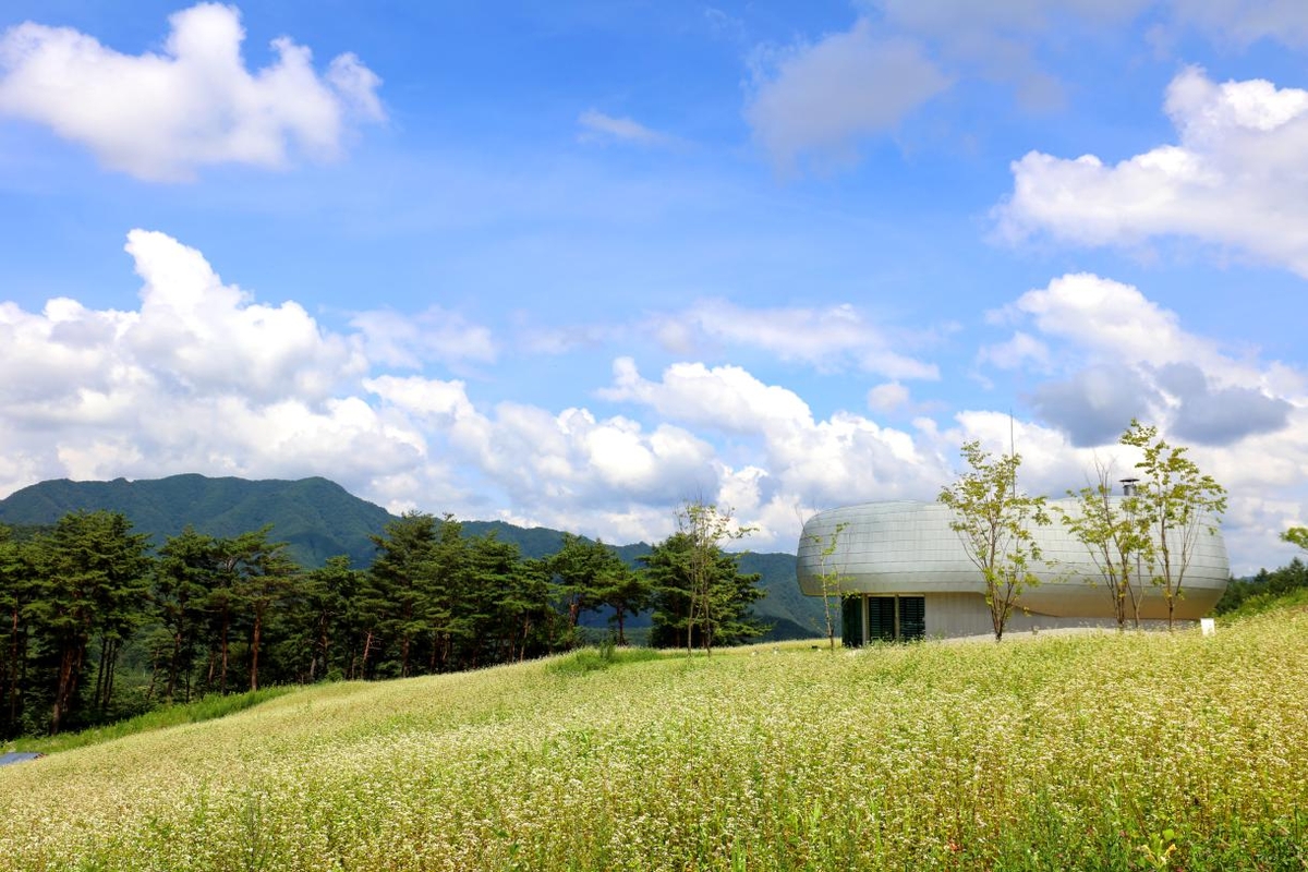 Институт дендрария и садоводства Кореи на первом этапе отобрал 20 организаций для участия в Международной программе по сохранению семян. На фото Глобальное хранилище семян Пэктудэган, расположенное в уезде Понхва-гун в провинции Кёнсан-Пукто. / Фото: Институт дендрария и садоводства Кореи