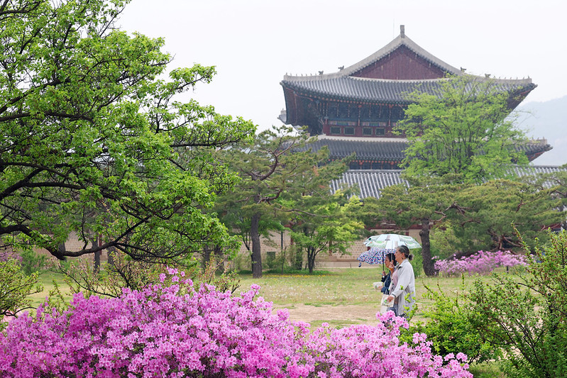 Иностранные туристы 20 апреля гуляют по дворцу Кёнбоккун в Сеуле. / Фото: Korea.net 