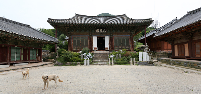 흥국사를 지키는 두 마리의 삽살개 (사진: 전한)