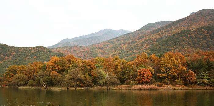 주변이 울긋불긋 물든 충청북도 괴산군 괴산호가 지난달 30일 산막이옛길을 찾은 사람들에게 완연한 가을 정취를 선물하고 있다. 