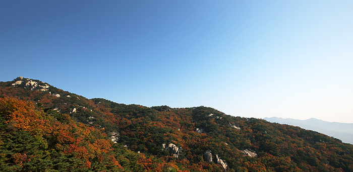 지난달 29일 찾은 도봉산이 푸른 가을 하늘아래 오색 단풍을 뽐내고 있다. 