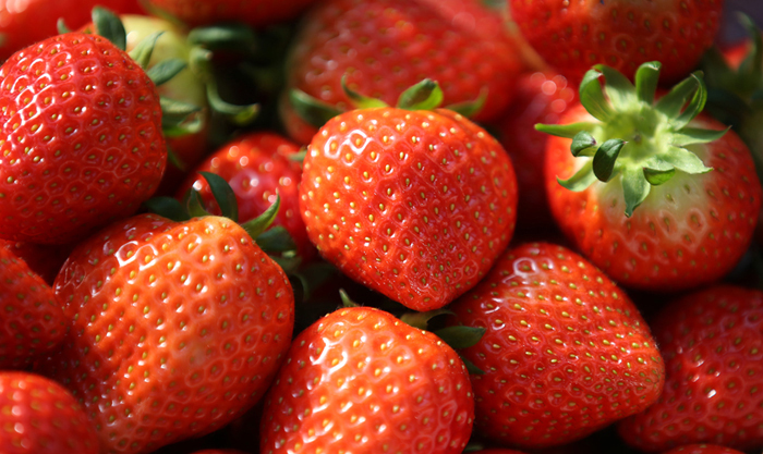 Sancheong_Strawberries_01.jpg