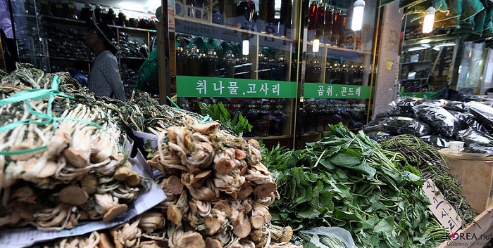 Traditional_Market_Train_Article_10.jpg