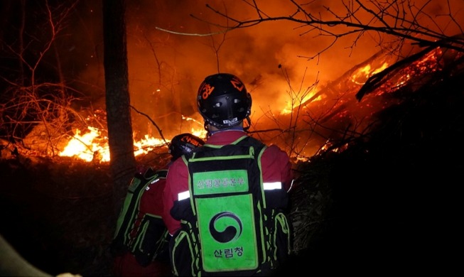 Пожарные Кореи будут бороться с огнем с помощью роботов
