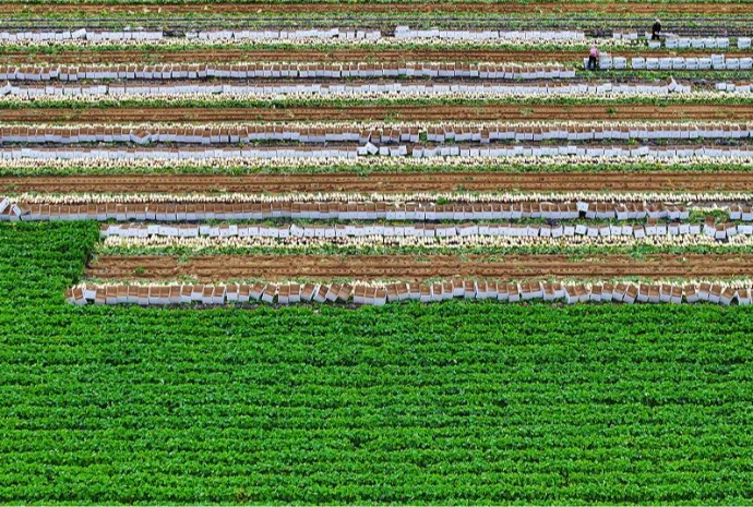 Осень – сезон урожая