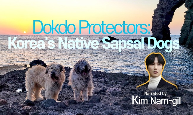 Узнаем историю собак сапсари – хранителей острова Токто