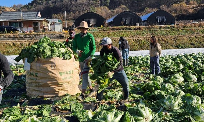 Правительство Кореи объявило квоты для рабочих мигрантов на следующий год
