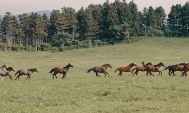 Лошадь – символ нового 2026 года