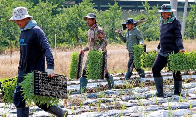 [Корея в 2025 году] ③ Изменения для иностранных граждан