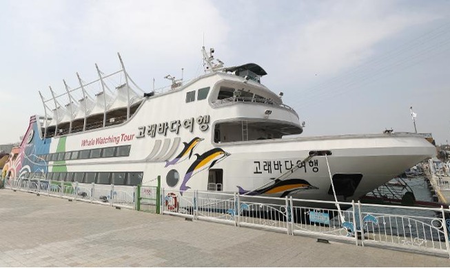 Морской круиз с наблюдением за китами в Корее начнет осуществлять регулярные рейсы