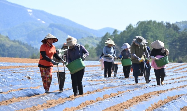 ﻿Нелегальные мигранты, не получившие заработную плату, не будут депортированы из Коре...