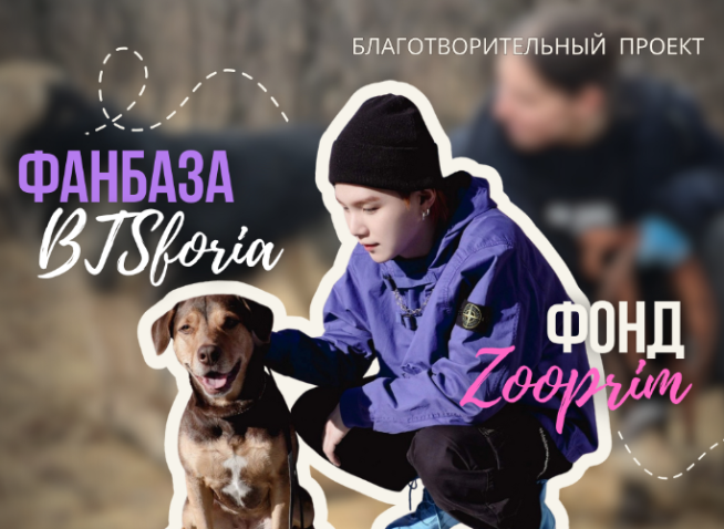 Фанбаза BTS «BTSforia» во Владивостоке: «Протяни руку лапкам»
