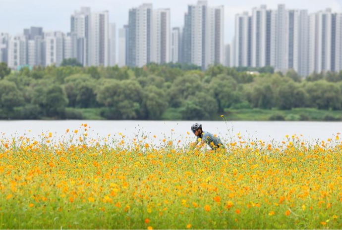 Первый день сентября