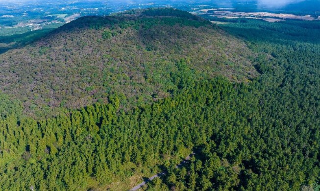 [Госуправление в Корее] ④ Восстановление лесов совместными усилиями