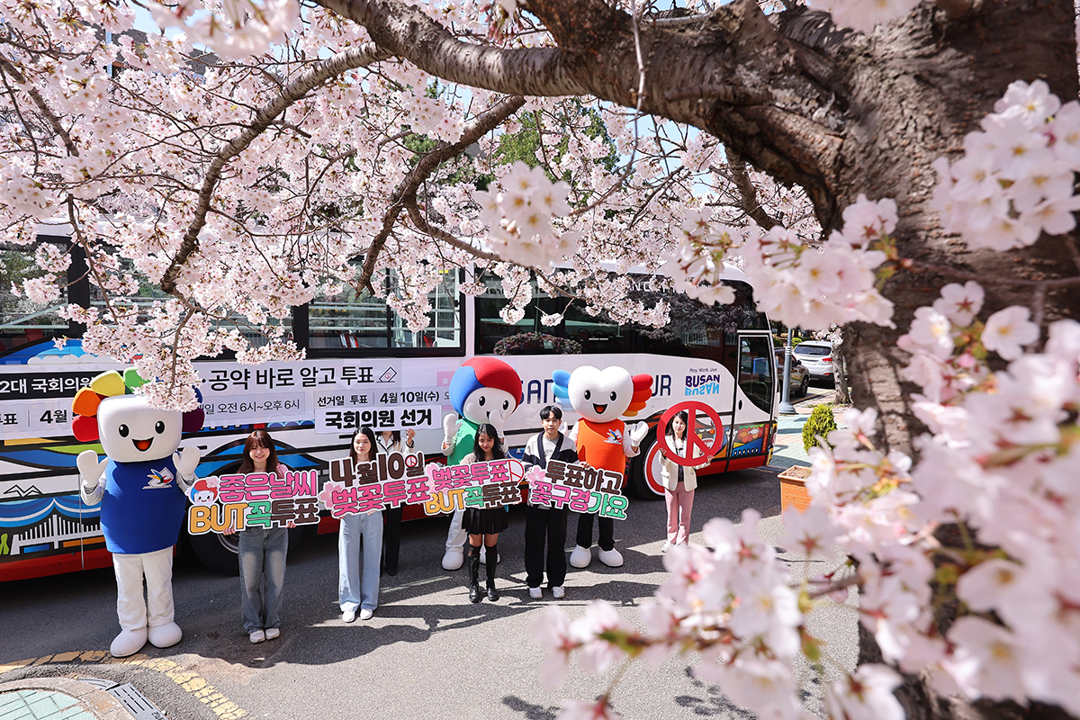 1 апреля в кампусе Тэён Национального университета Пугён в районе Нам-гу, Пусан, за 9 дней до 22-х выборов в Национальное собрание, члены городской избирательной комиссии Пусана проводят кампанию, призывая любоваться цветением вишни и участвовать в выборах.