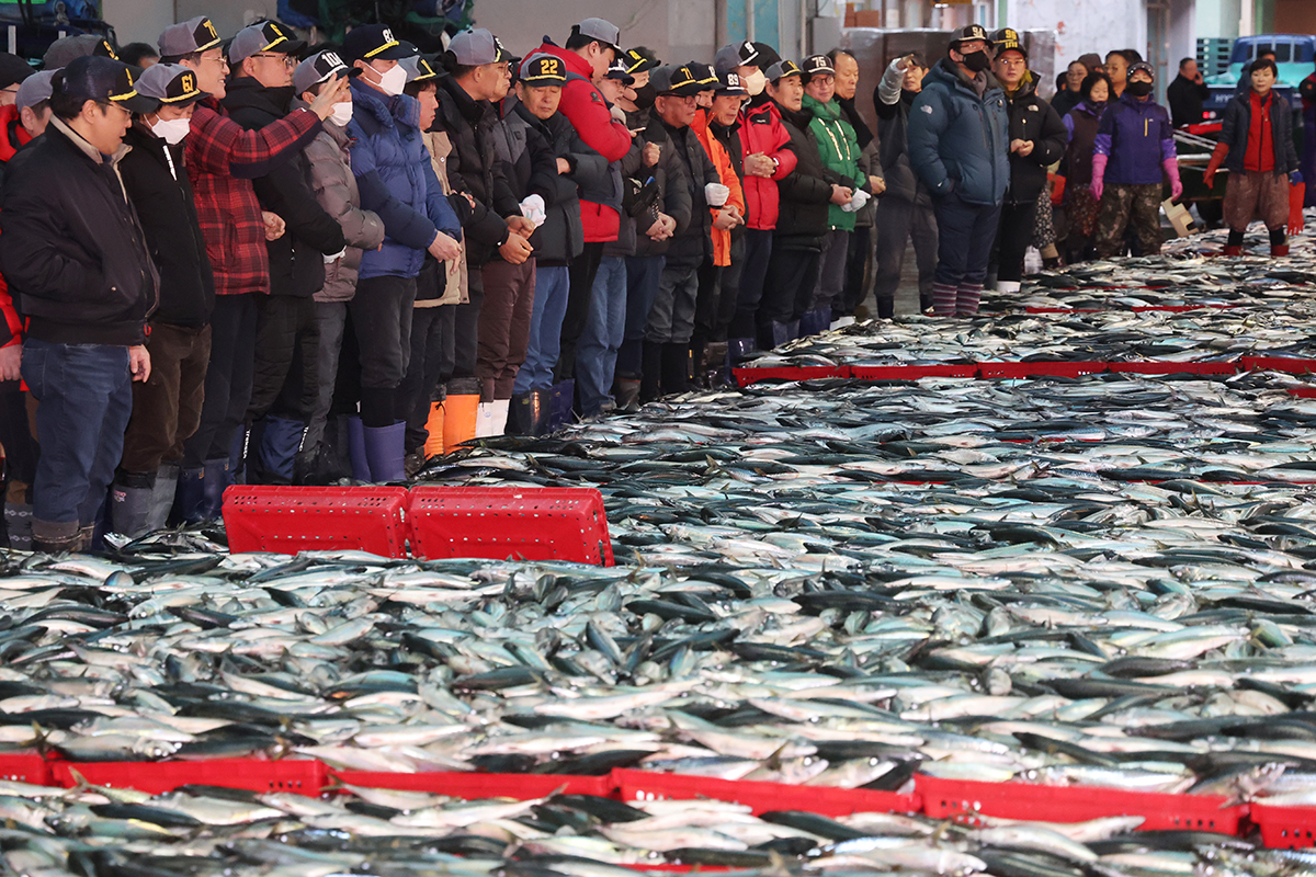 2 января оптовики участвуют в первом в этом году аукционе морепродуктов на рыбном рынке в районе Со-гу в Пусане. 