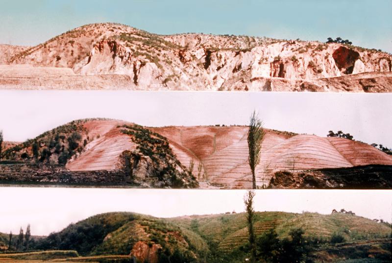 Фото восстановления лесов в 1973-1977 годах в Пхохане, занесенное в список Всемирного наследия ЮНЕСКО. / Фото: Лесная служба Кореи  