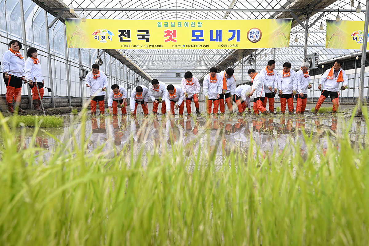 10 февраля участники сажают рассаду риса на &laquo;Первом мероприятии по посадке риса&raquo;, которое проводится в теплице, расположенной в городе Ичхон, провинция Кёнгидо.