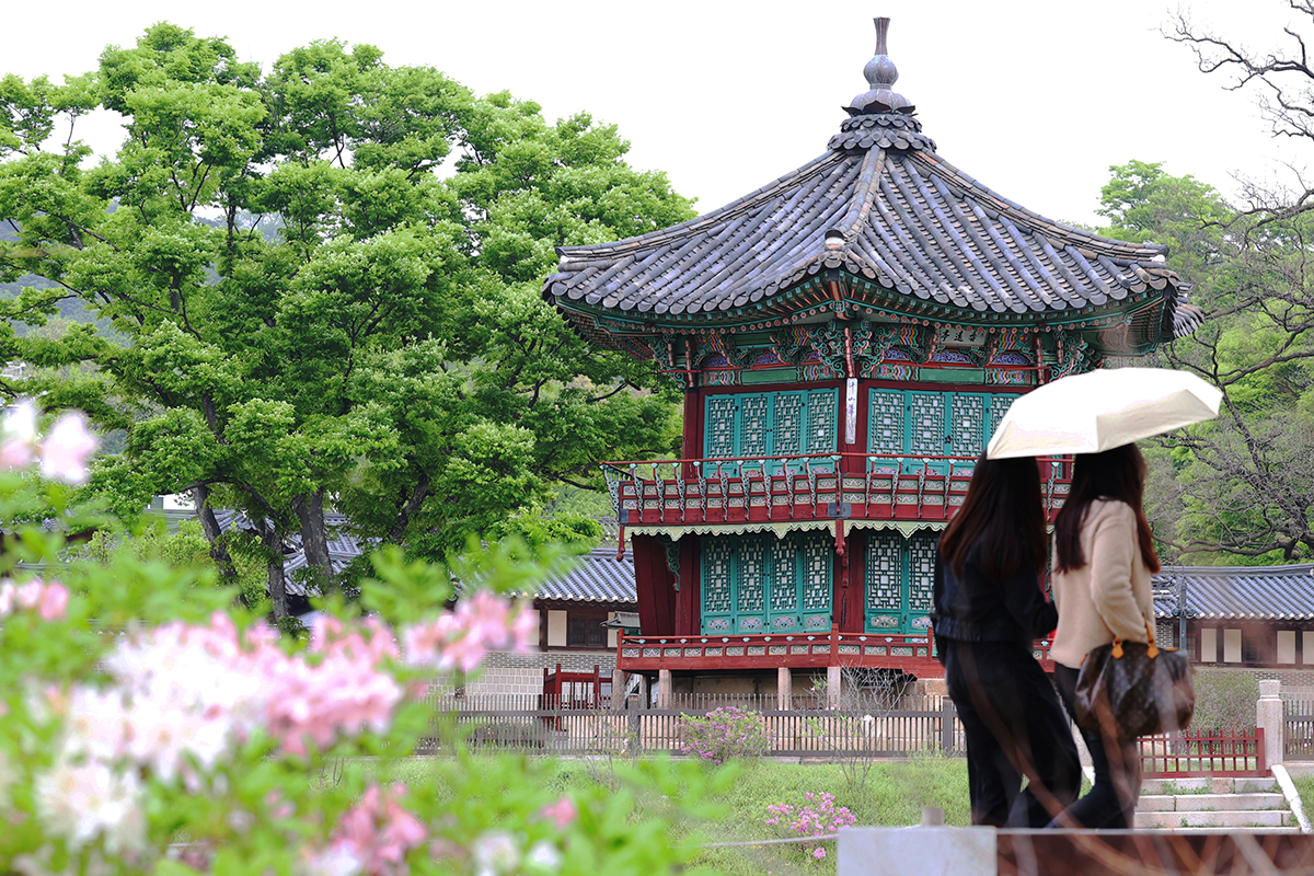 20 апреля иностранные туристы осматривают дворец Кёнбоккун в Сеуле, несмотря на дождливую погоду.