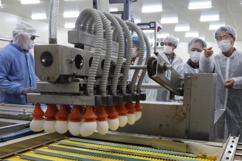 26 января сотрудники Министерства продовольствия, сельского, лесного и рыбного хозяйства и Министерства безопасности пищевых продуктов и медикаментов РК проводят инспекцию процесса производства американских яиц в городе Чхонан, провинция Чхунчхон-Намдо. / Фото: Рёнхап 