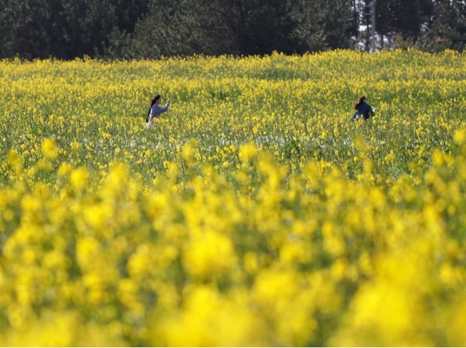 Сейчас лучшее время для поездки в Корею: вас ждут щедрые скидки и бонусы