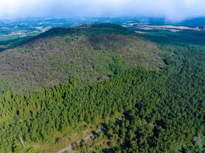 [Госуправление в Корее] ④ Восстановление лесов совместными усилиями