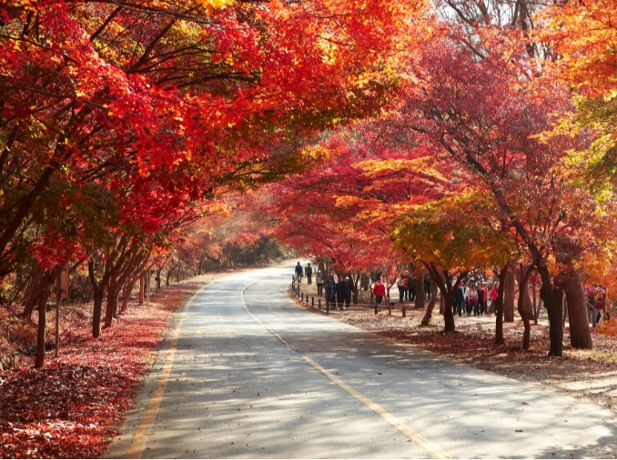 «Скрытые жемчужины»: Где насладиться осенью в Корее